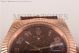 Replica Rolex Sky-Dweller Brown Dial Brown Leather Rose Gold Watch (BP）